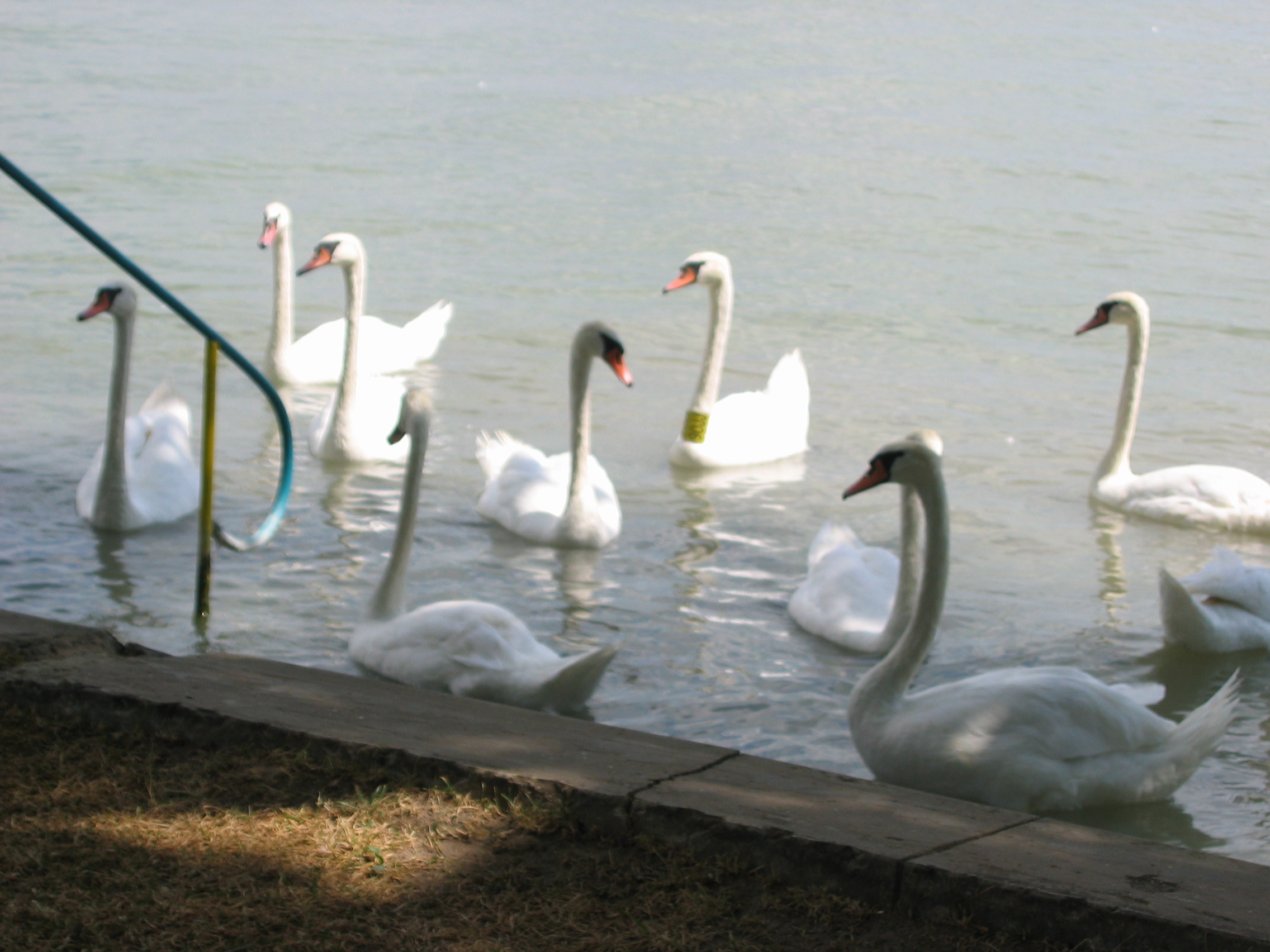 IMG_7364.JPG