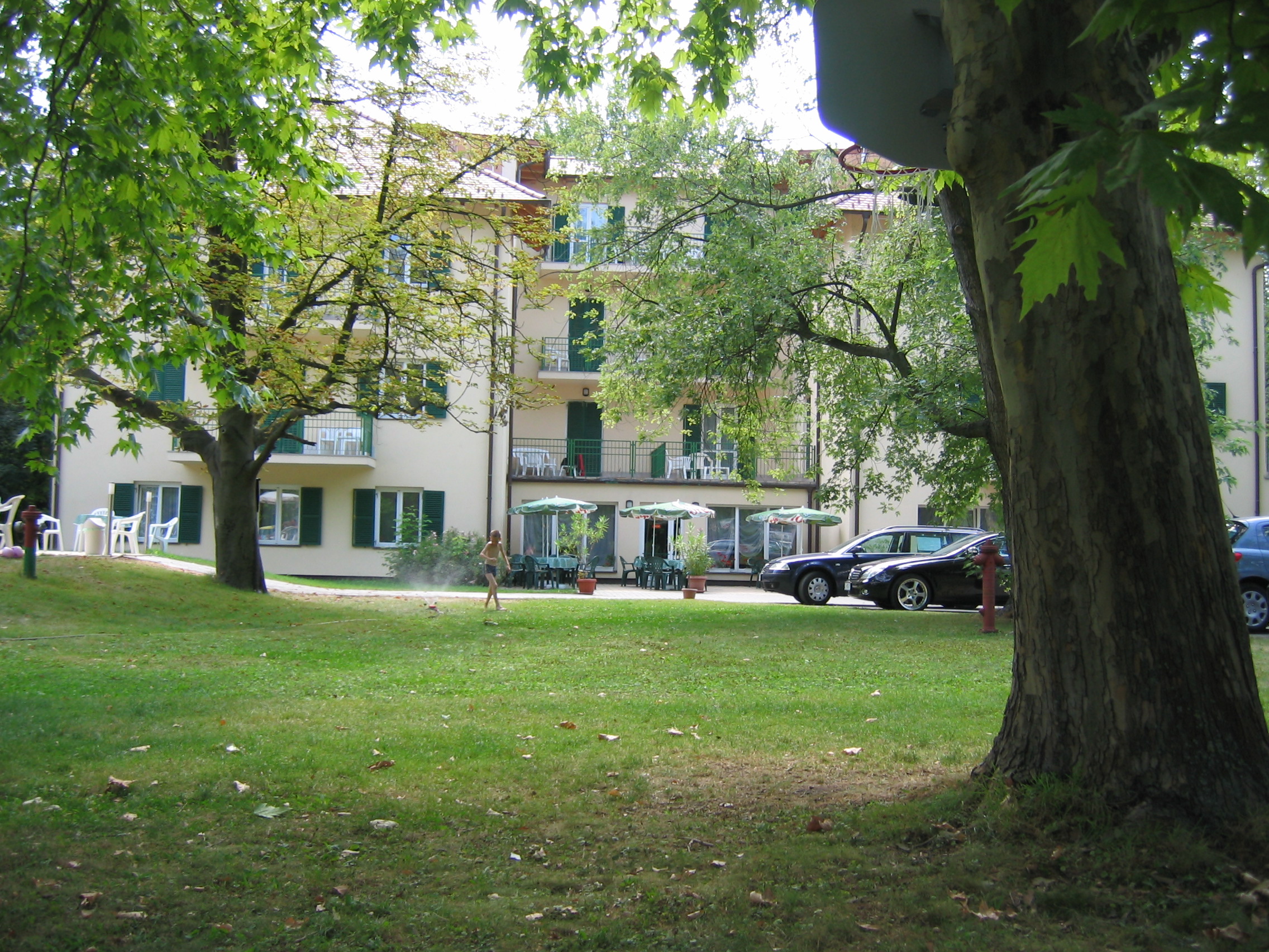 IMG_7436.JPG